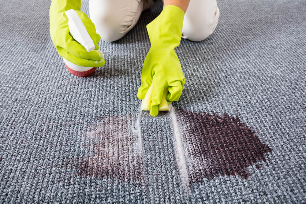 swish stain remover