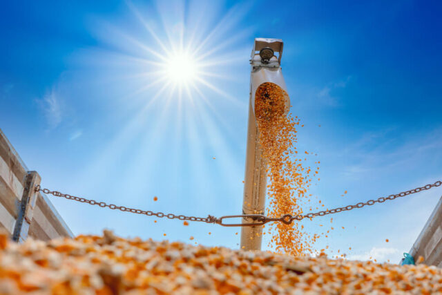 noże do wozu paszowego